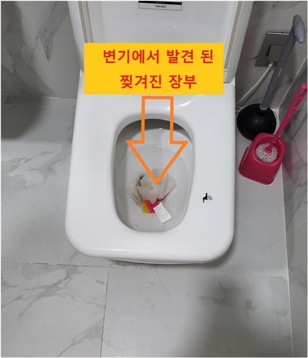 증거인멸시도