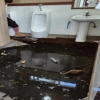 용눈이오름 화장실 바닥 붕괴…제주도, 임시화장실 신규설치