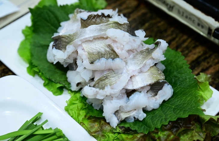 담백하고 고소한 맛이 일품인 전남 고흥 ‘중앙식당’ 갯장어 데침회. 남도 사람들의 여름 보양식이다. 값이 비싸 지갑 털릴 각오는 해야 한다.