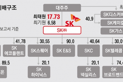 1조 3808억원 재산분할 확정 땐 최태원 ‘SK 지배구조’도 영향