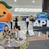“휴머니티·자연 연결… 제주, 2025년 APEC 개최 최적지”