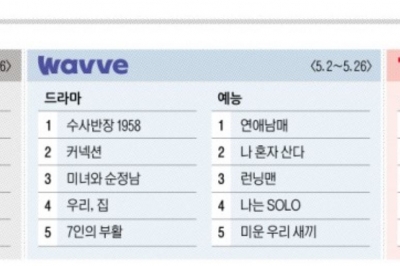 OTT 분야별 TOP5