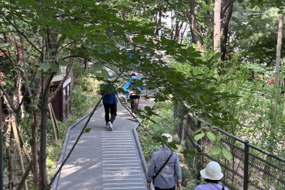 무학봉~남산 5.14㎞ 숲길… 계단·턱 없어 누구나 걸어요