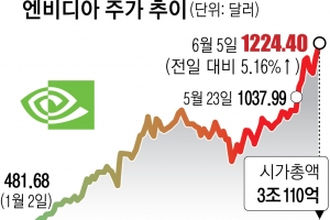 엔비디아, 3조 달러 돌파 ‘시총 2위’… 애플도 꺾었다
