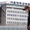 서울대병원 교수들 17일부터 ‘전체휴진’ 돌입… 환자단체 “환자 생명권 박탈”