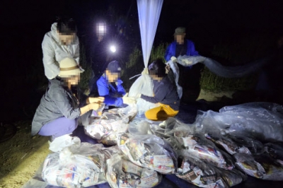 [포토] 대북전단 날리는 탈북민 단체