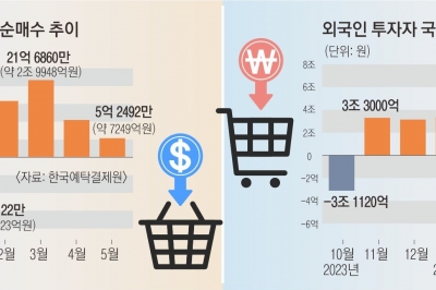 ‘바이 코리아’ vs ‘바이 USA’… 엇갈린 투심 속 누가 웃을까