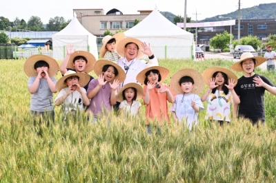 재배단지 늘리고, 밀밭 축제까지… 전략작물 ‘우리밀’ 밀어주는 양평