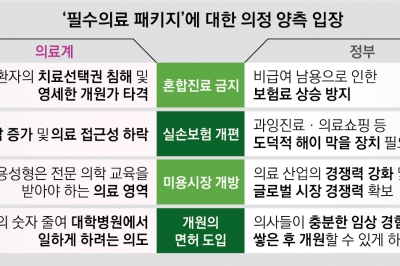 ‘빅5’ 병원도 휴진 동참… 일부 병원장, 집단행동 의사 손배소 검토