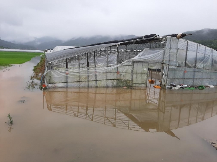 지난해 여름 집중 호우로 침수된 죽산지구 원산들 모습