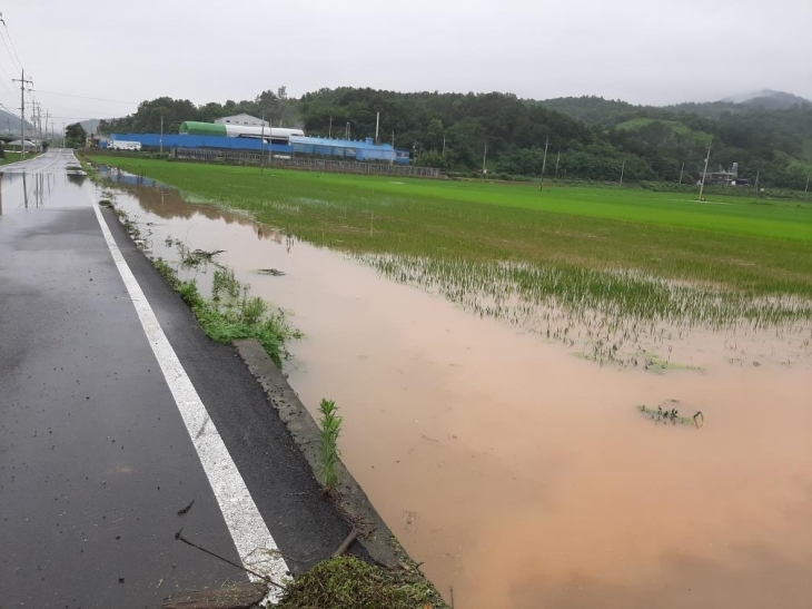 지난해 여름 집중 호우로 침수 피해를 입은 죽산지구 원산들 모습