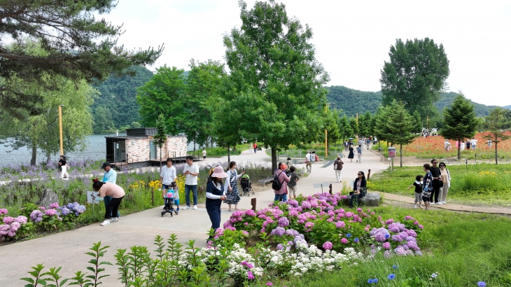 자라섬 꽃 페스타는 2023~2024년 경기관광축제에 선정돼 자라섬을 찾는 관광객이 해마다 크게 늘어나고 있다. 가평군 제공