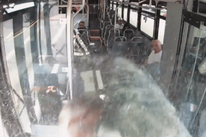 (영상)달리던 버스로 뛰어든 사슴…와장창 깨진 유리창에 아수라장
