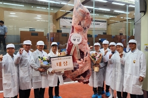 양주 김영대 씨 농가 한우, 경기 한우평가대회 ‘대상’
