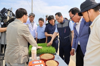 해남군, 장립종 쌀 재배 수출로 해외시장 공략