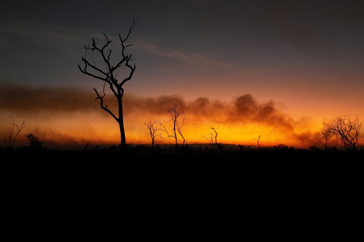 지난 11일(현지시간) 브라질 마투그로수두술주 코룸바에 있는 세계 최대 습지인 판타나우에서 화재가 발생해 나무들이 불타며 연기가 공중으로 솟아오르고 있다.  마투그로수두술 로이터 연합뉴스