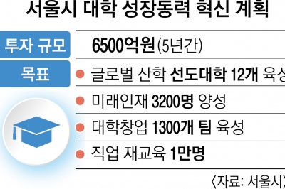 서울 54개 대학 6500억 투입… ‘글로벌 톱5 도시’ 앞당긴다