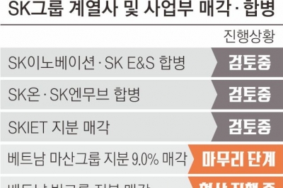 “이러다 서든데스”… 쇄신 나선 SK, 219개 계열사 대폭 손본다