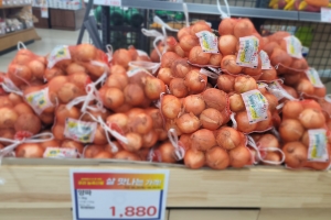 전남도, 양파마늘 최대 35% 할인 행사 개최