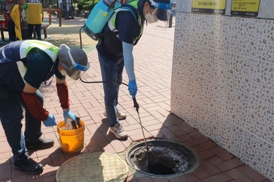 광진, 무더위 불청객 해충 친환경 살충제로 박멸 ‘대작전’