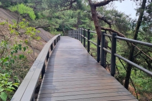 ‘주민 행복에 진심’ 서대문구 인왕산 무장애길 완성