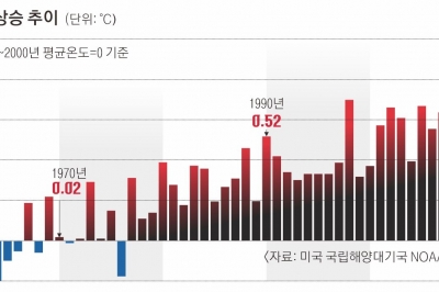 더위 먹은 물가도 ‘들썩’…히트플레이션 강타하나[뉴스 분석]