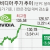 엔비디아 주가 사흘째 추락… AI 거품이냐, 단기 조정이냐