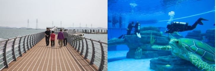 시흥 거북섬 마리나브릿지(경기관광공사 제공)