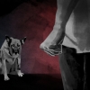 “최악의 선고” 동물단체 경악…개·고양이 11마리 죽인 20대, 집행유예