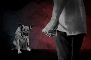 thumbnail - “최악의 선고” 동물단체 경악…개·고양이 11마리 죽인 20대, 집행유예