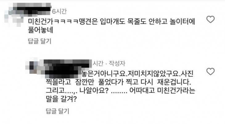 한 반려견 보호자가 5대 맹견으로 분류되는 로트와일러를 목줄은커녕 입마개도 채우지 않고 어린이 놀이터에 풀어놓은 영상이 논란이다. 문제를 지적하는 누리꾼과 설전을 벌인 견주.  온라인 커뮤니티 캡처