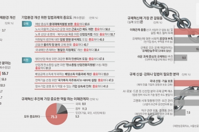 기업 64% “엄벌주의만 앞세운 중처법, 예방 위주로 풀어 달라” [규제혁신과 그 적들]