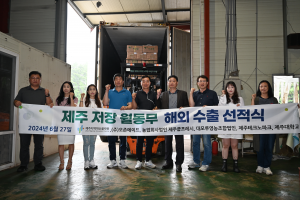 제주 월동무, 한여름 해외 식탁에 오른다