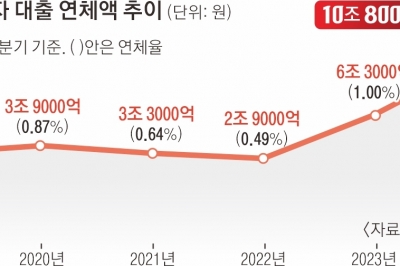 “빚내서 빚 갚기도 역부족”… 자영업자 연체액 11조 ‘역대 최고’