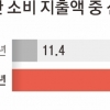 카드 사용 늘어 소득 탈루 감소?… ‘자영업자 세제 혜택 확대’ 어떻게 생각하시나요