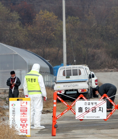 방역 당국 관계자들이 아프리카돼지열병(ASF) 발생 지역 입구를 통제하고 있다. 연합뉴스