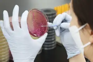 거제 섬 펜션 이용객들 식중독 의심 증세…13명 병원 이송