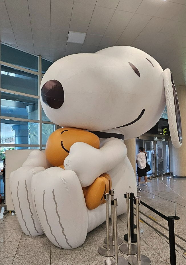 제주공항 1층 도착장에 오픈한 스누피 팝업스토어에 전시된 높이 5m의 스누피 캐릭터 인형. 제주 강동삼 기자