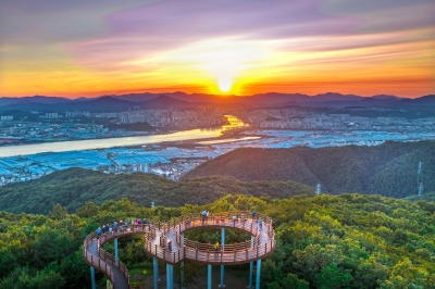 산·바다·산업이 어우러진 젊은 도시 북구… 이색 체험 눈길 [꿀잼도시 울산]