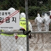 경북 예천 돼지농장서 아프리카돼지열병(ASF) 발생
