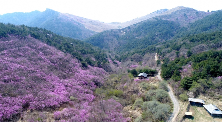 창녕 화왕산. 경남도 제공
