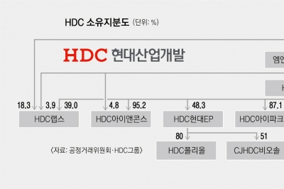 항공 인수 불발·붕괴 사고 딛고… ‘아이파크’로 날개 펴는 HDC[2024 재계 인맥 대탐구]