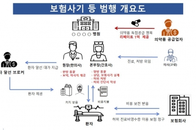 치매 의사 채용해 보험사기…보험금 9억 타낸 한방병원 적발