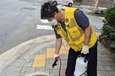 도봉구 모기 유충부터 씨를 말린다... 특별 집중방역 돌입