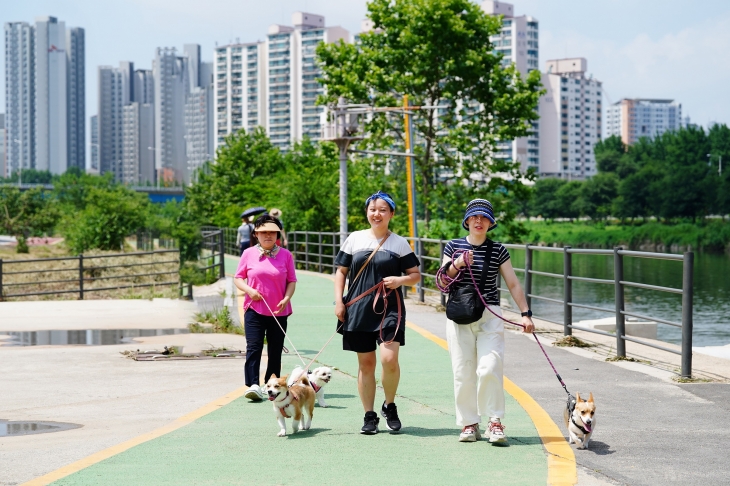 서울 중랑구민들이 반려동물과 산책하고 있다. 중랑구 제공