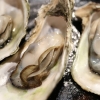 “먹지 마세요” 韓제품 판매 중단한 美…‘이 바이러스’ 때문이었다