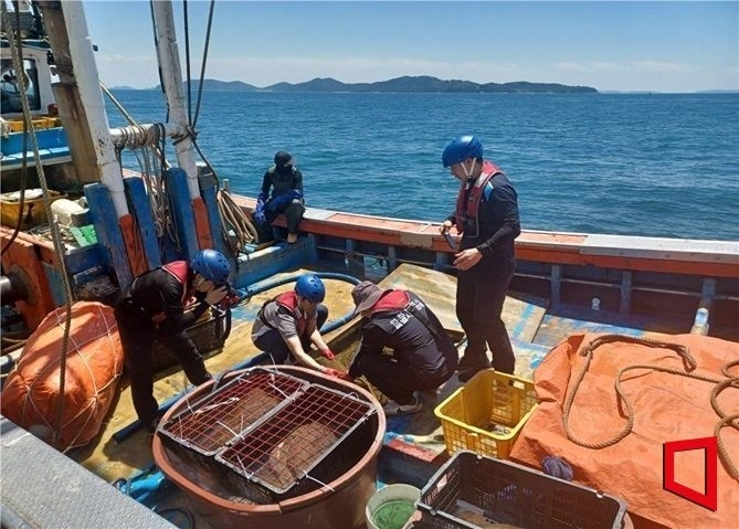 산란기 불법 어업 단속에 나선 인천시 특별사법경찰이 어구 그물코 규격의 위반 여부를 살피고 있다. (인천시 제공)