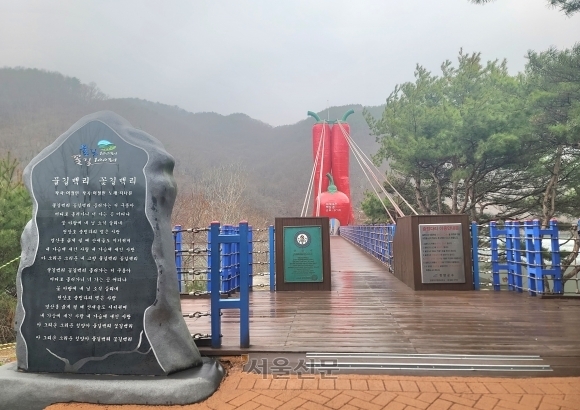 충남 청양군 천장호 출렁다리. 서울신문DB