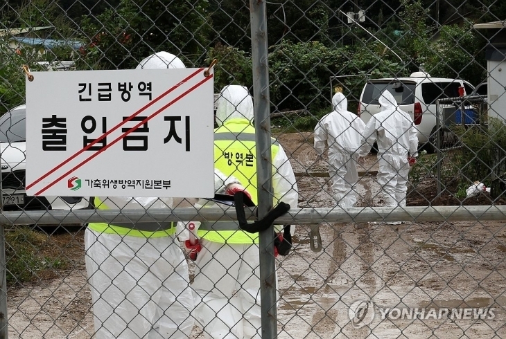 방역 당국 관계자들이 아프리카돼지열병(ASF) 발생 지역 입구를 통제하고 있다. 연합뉴스