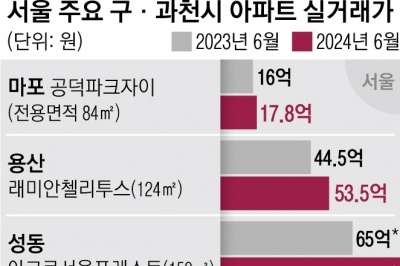 똘똘한 한 채 잡아라… 마용성·과천 아파트값 ‘들썩’